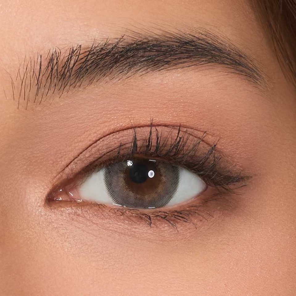 Viskon Celebriti Brilliance Gray Contact Lenses